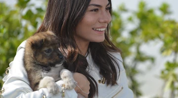 Кадр из Ранняя пташка 35 серия