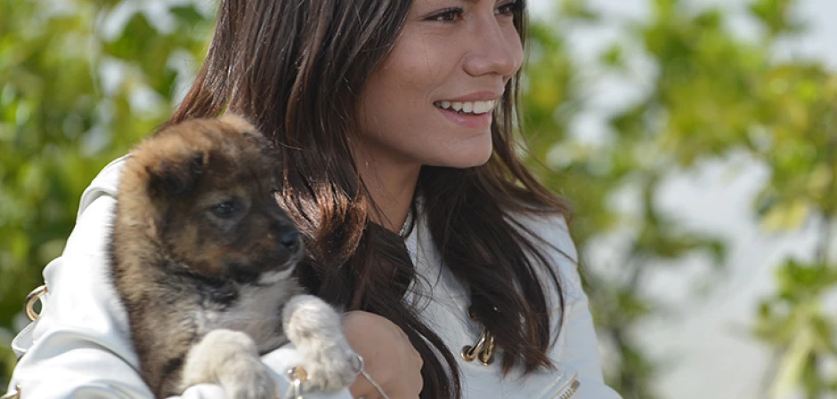 Кадр из Ранняя пташка 35 серия