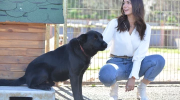 Кадр из Ранняя пташка 35 серия