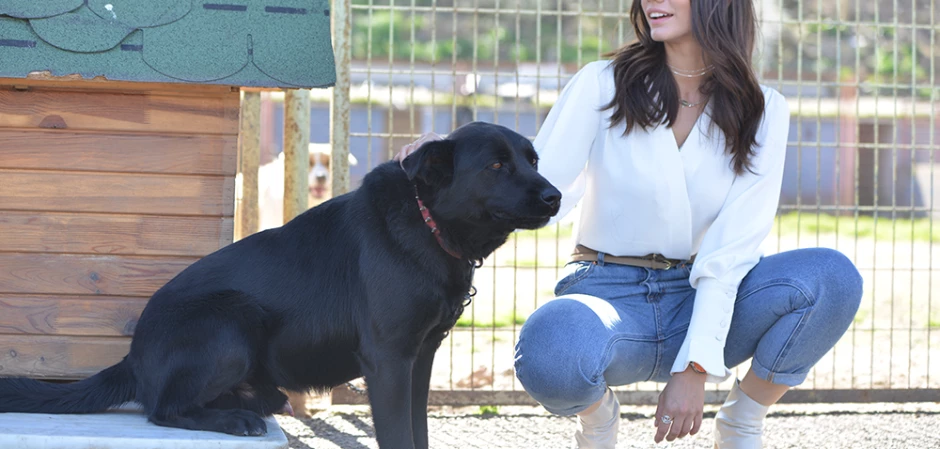 Кадр из Ранняя пташка 35 серия