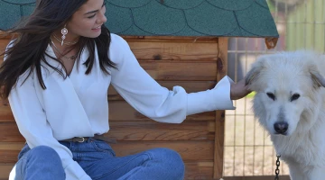 Кадр из Ранняя пташка 35 серия