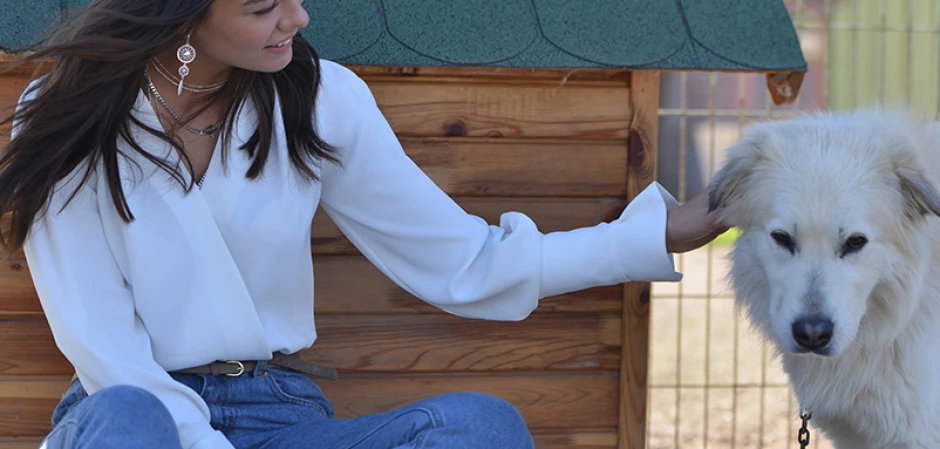 Кадр из Ранняя пташка 35 серия