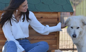 Ранняя пташка 35 серия